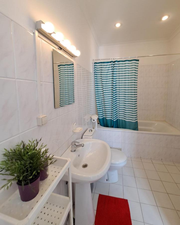 Albergue Smart Cat
